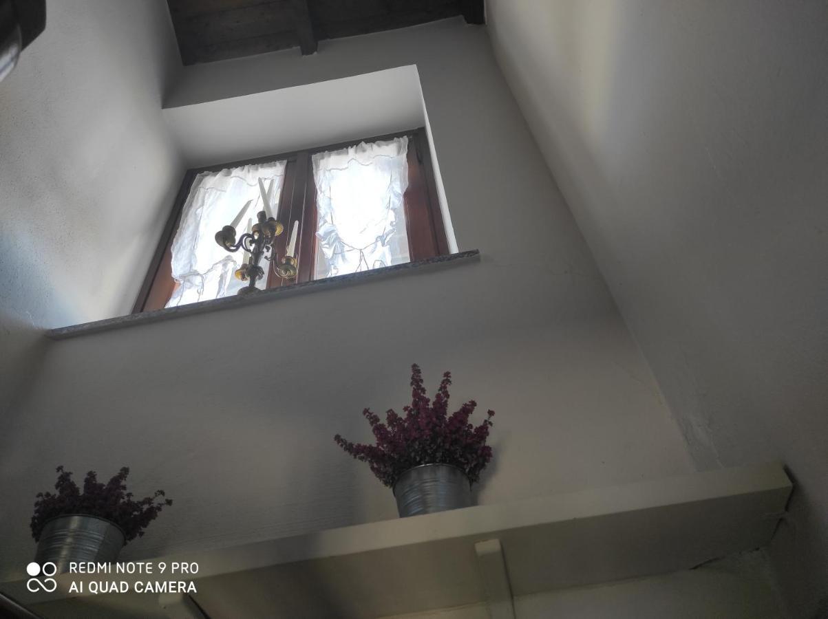 Maison Diletta Castelletto sopra Ticino Ngoại thất bức ảnh